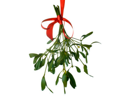 Wedding Flowers by Season 22 mistletoe
