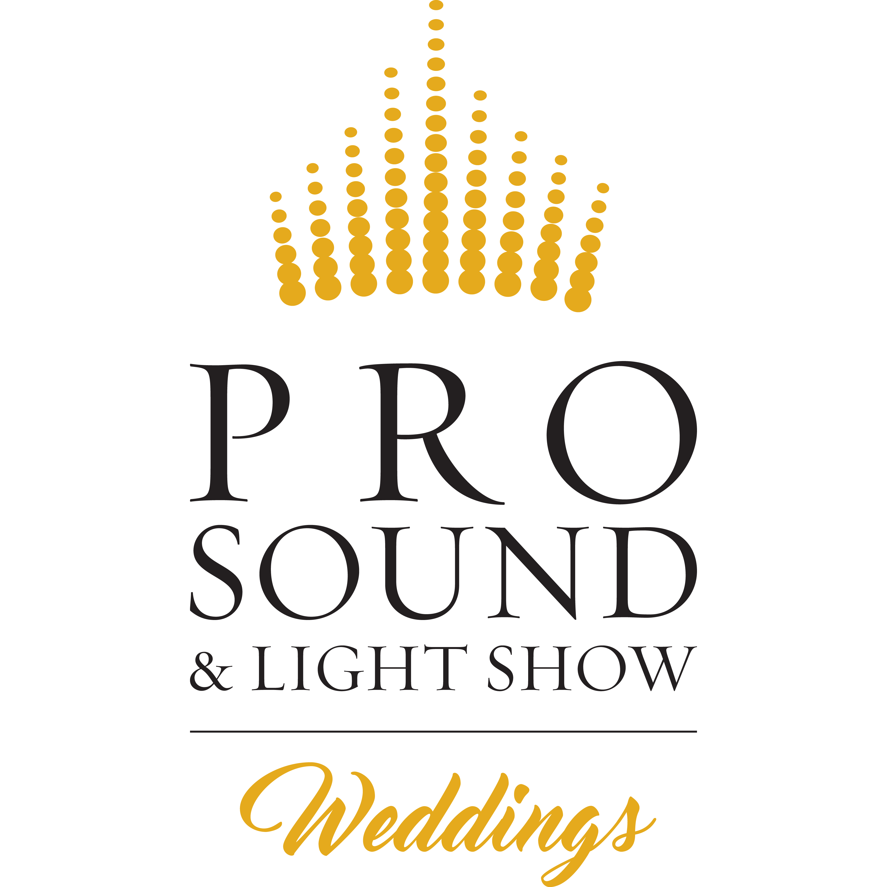 The Pro DJ Package 1 Image